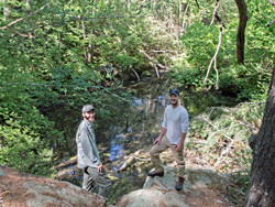 Vernal pool on the Hammond Quarry property